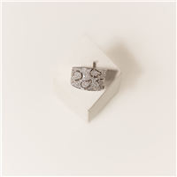 Anello Donna in Oro bianco Diamante Monaldi Gioielli ELI7651